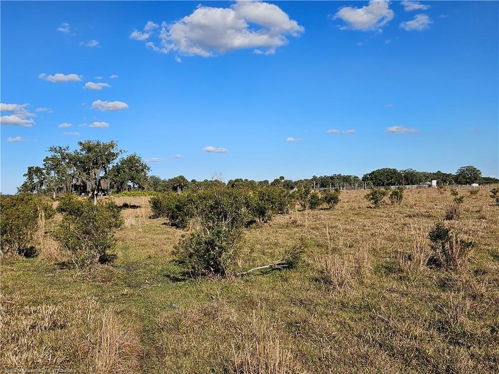 320 GRIGSBY RD, VENUS, FL, 33960