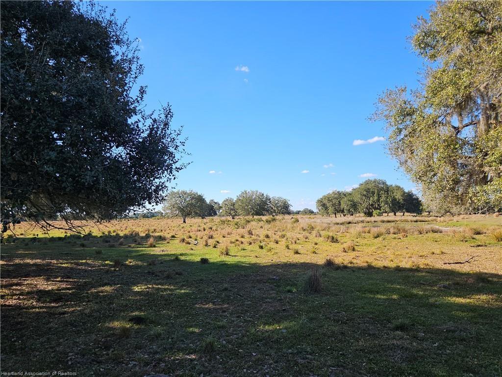 320 GRIGSBY RD, VENUS, FL, 33960