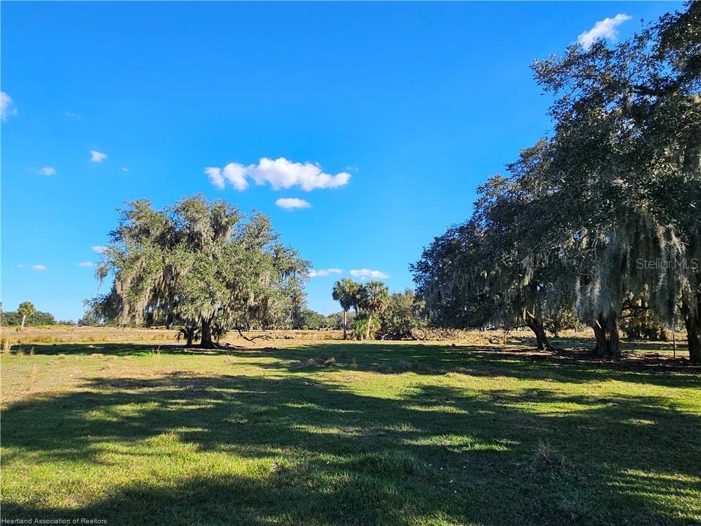 320 GRIGSBY RD, VENUS, FL, 33960