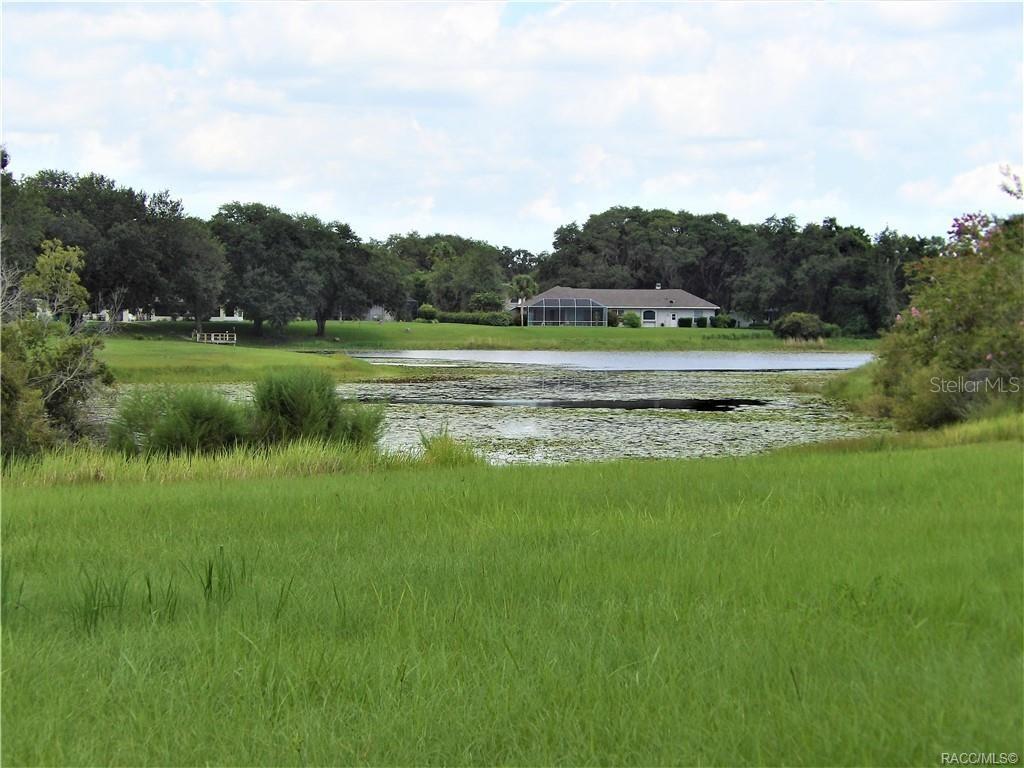 9546 E BAYMEADOWS DR, INVERNESS, FL, 34450