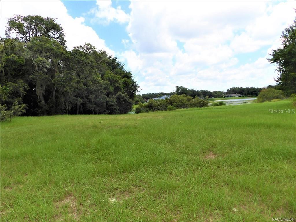 9546 E BAYMEADOWS DR, INVERNESS, FL, 34450