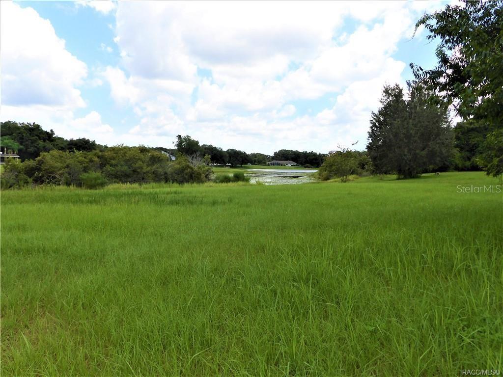 9546 E BAYMEADOWS DR, INVERNESS, FL, 34450