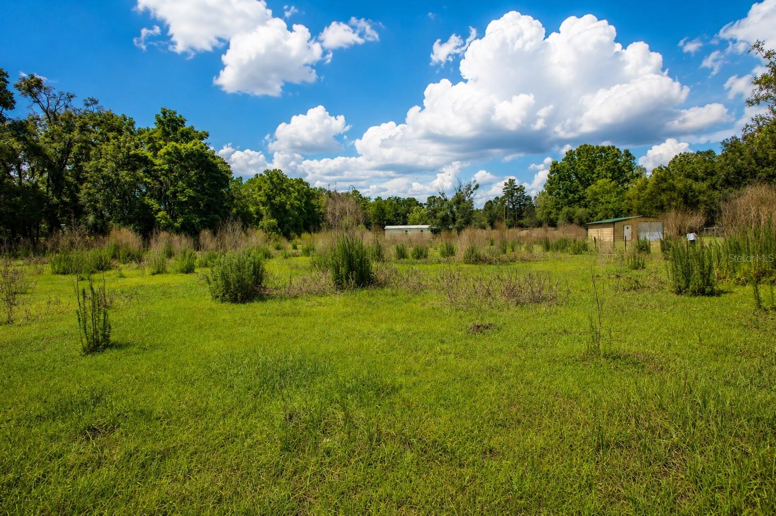 21313 NW 56TH PL, NEWBERRY, FL, 32669
