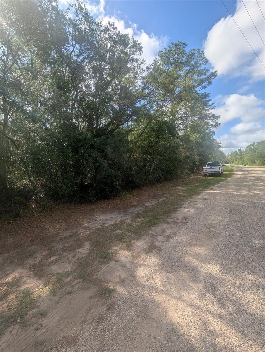 8791 N FOLLAND DR, DUNNELLON, FL, 34433