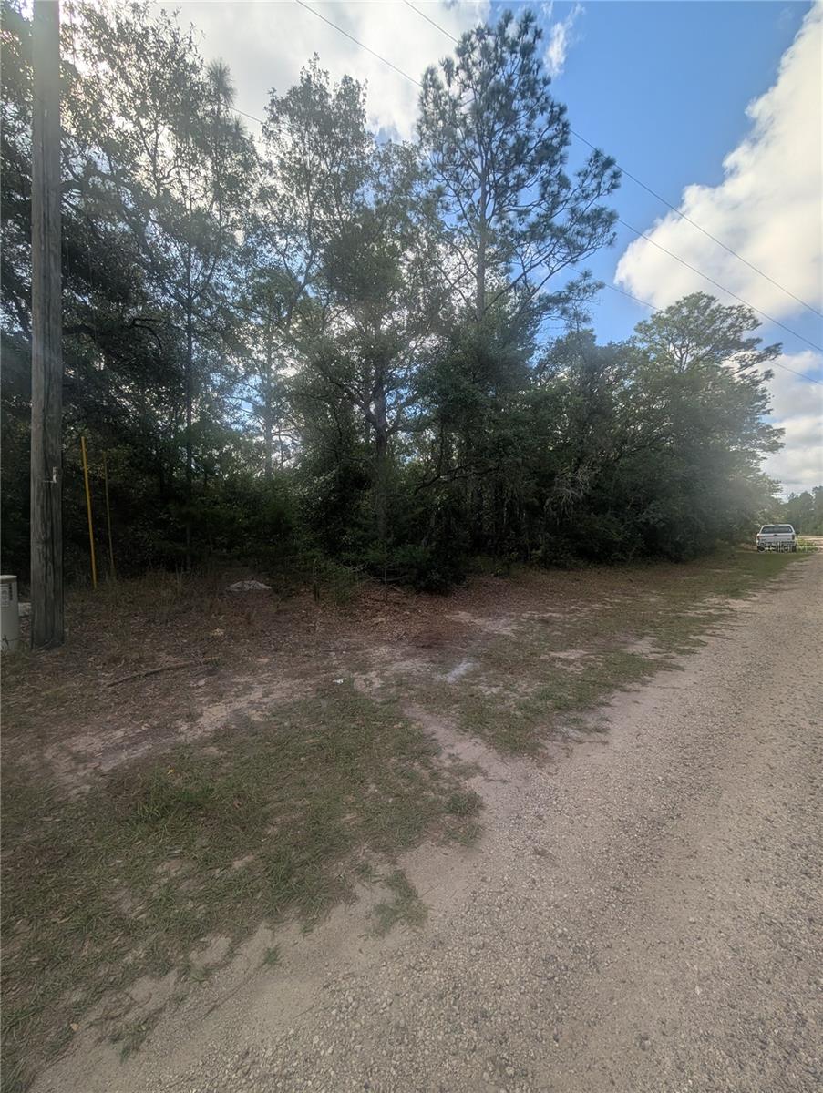 8791 N FOLLAND DR, DUNNELLON, FL, 34433