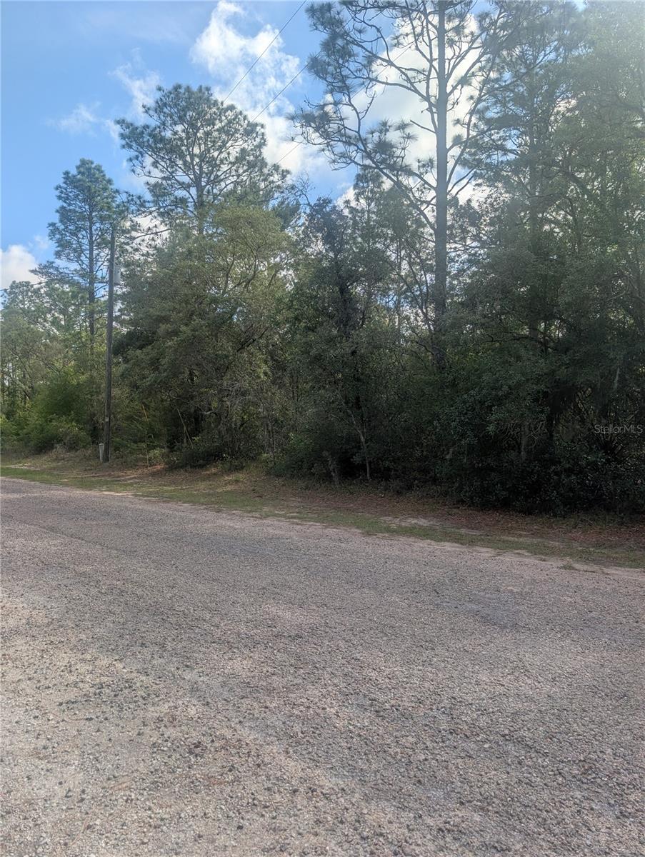 8791 N FOLLAND DR, DUNNELLON, FL, 34433