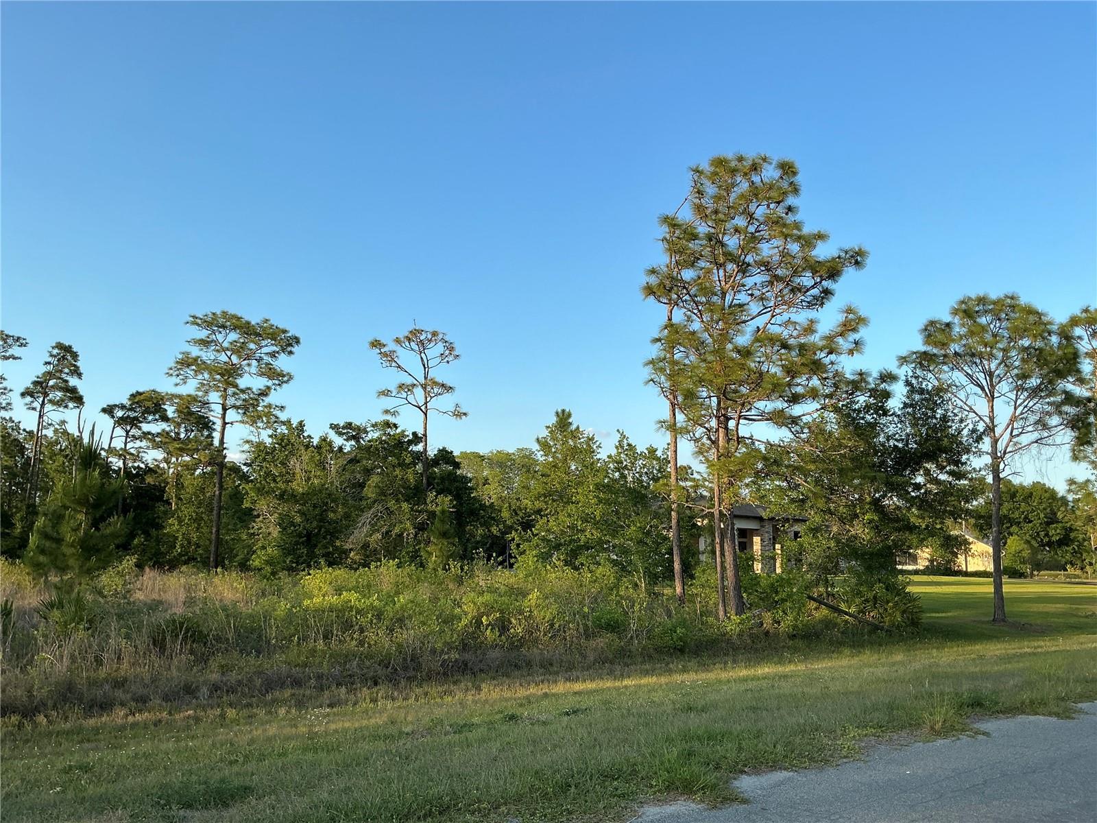 REYNOLDS PKWY, ORLANDO, FL, 32833