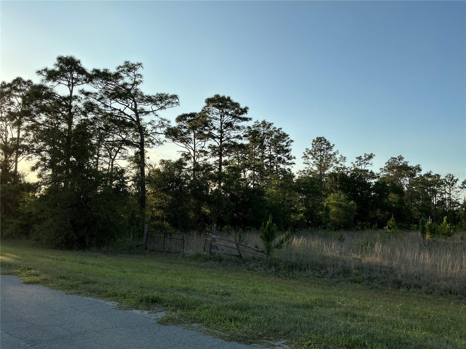 REYNOLDS PKWY, ORLANDO, FL, 32833