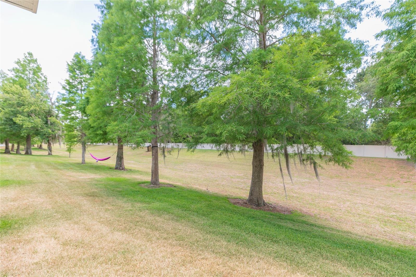3152 ROYAL TUSCAN LN, VALRICO, FL, 33594