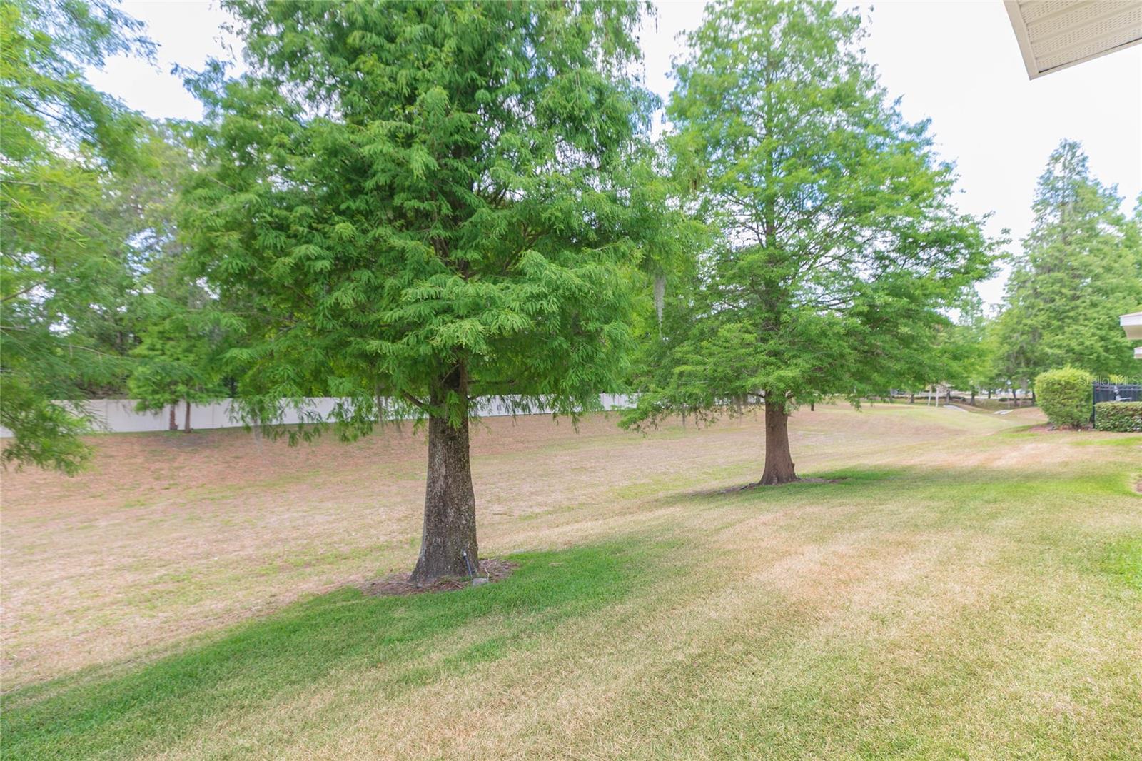 3152 ROYAL TUSCAN LN, VALRICO, FL, 33594