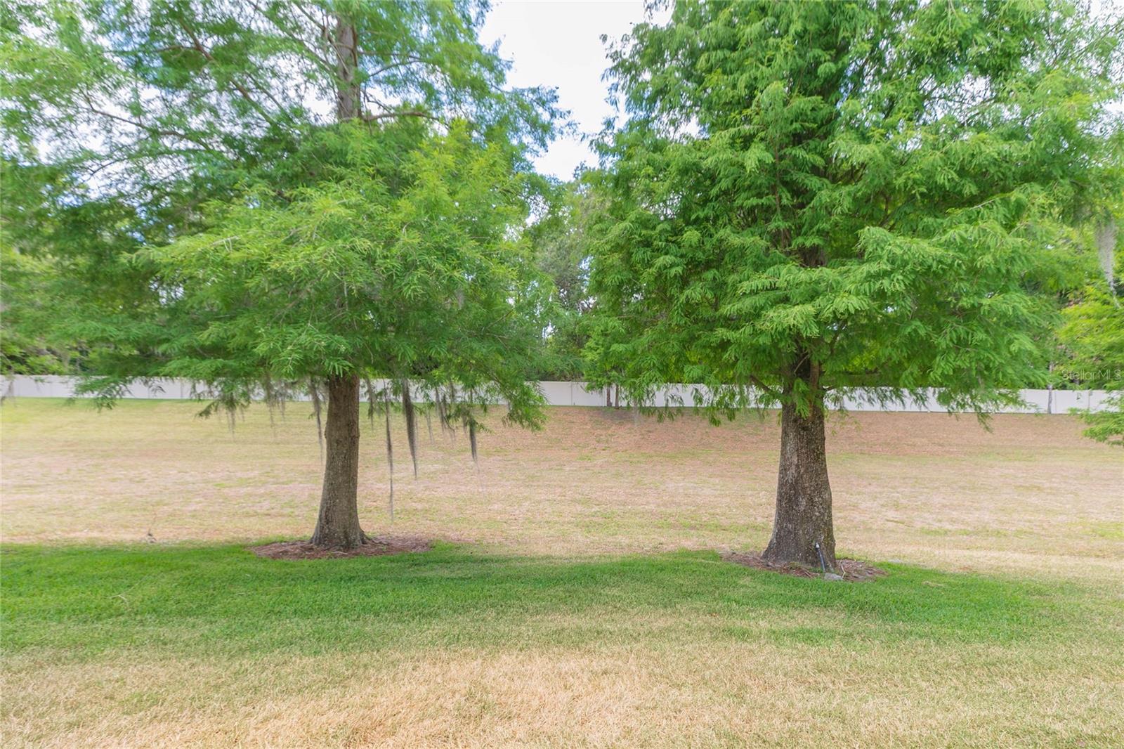 3152 ROYAL TUSCAN LN, VALRICO, FL, 33594