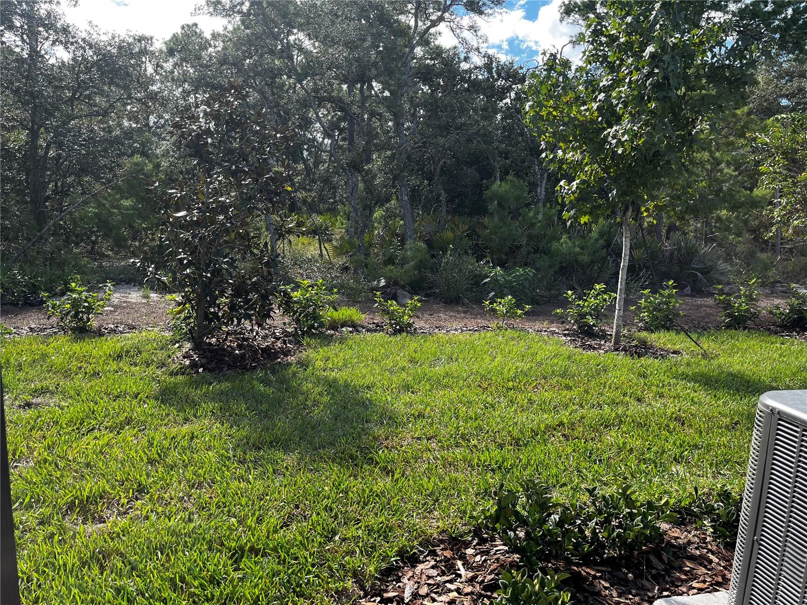 1427 SERENDIPITY LN, CLERMONT, FL, 34714
