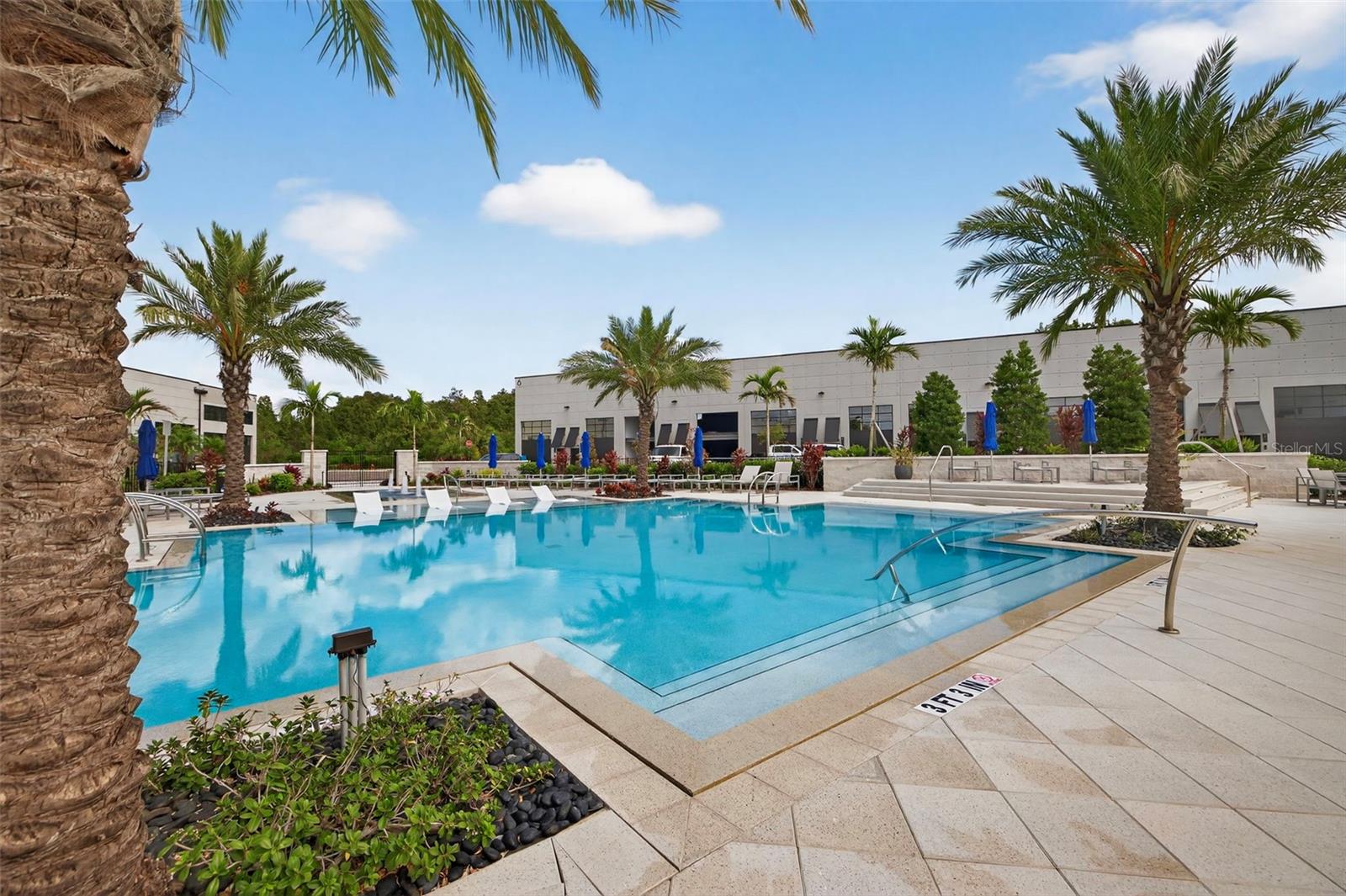 6500 MOTOR ENCLAVE WAY #909, TAMPA, FL, 33610