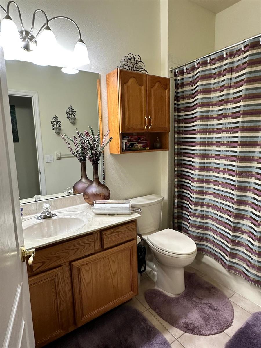 16301 FLORENCE OAK CT, MONTVERDE, FL, 34756
