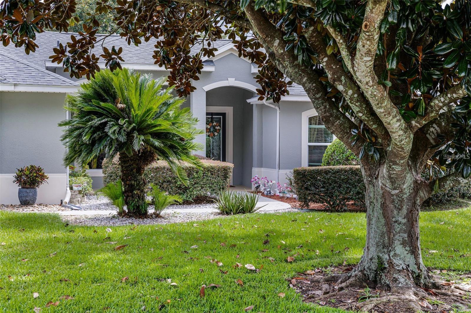 16301 FLORENCE OAK CT, MONTVERDE, FL, 34756
