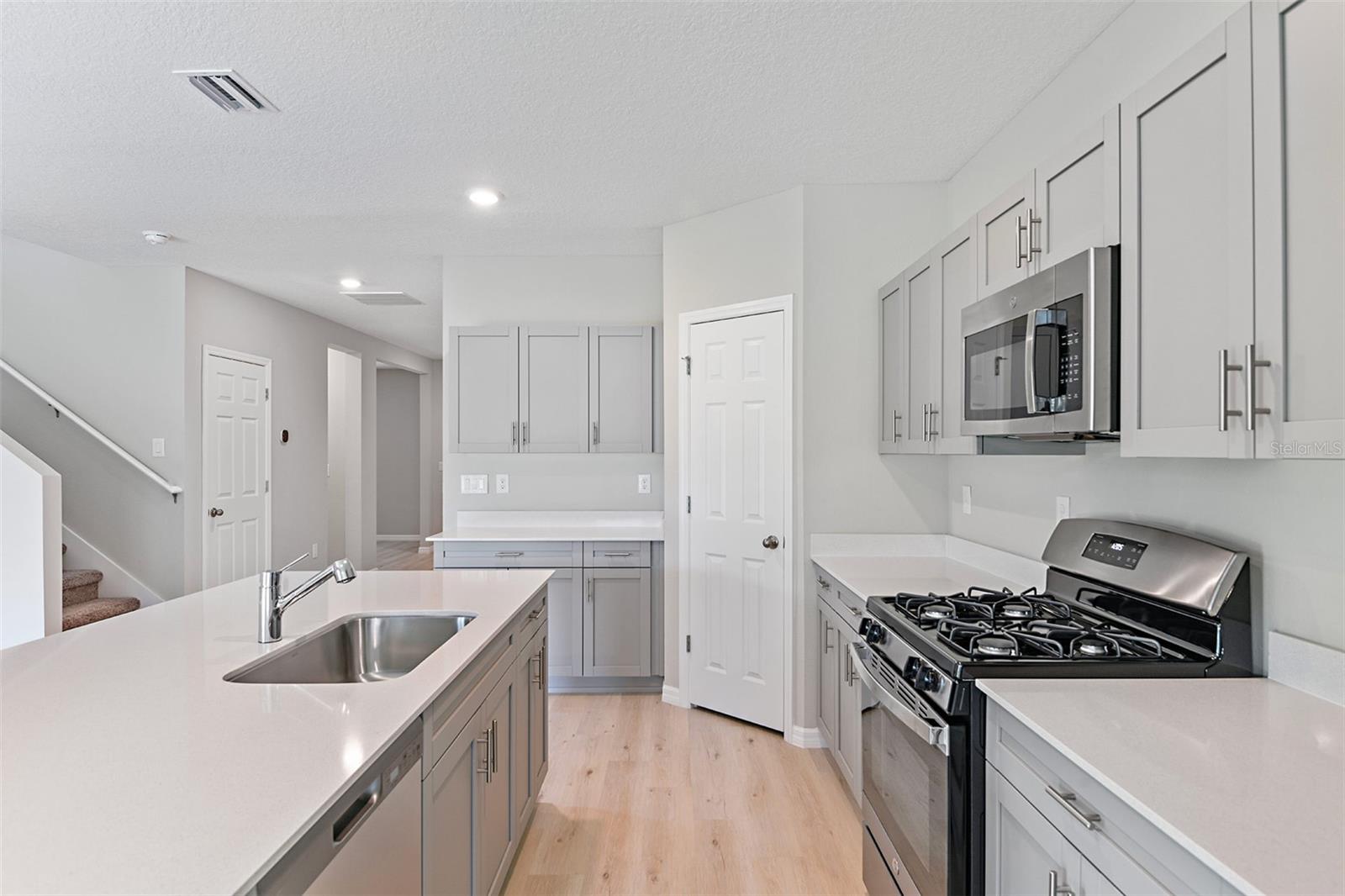 31670 BARONNE ST, WESLEY CHAPEL, FL, 33545