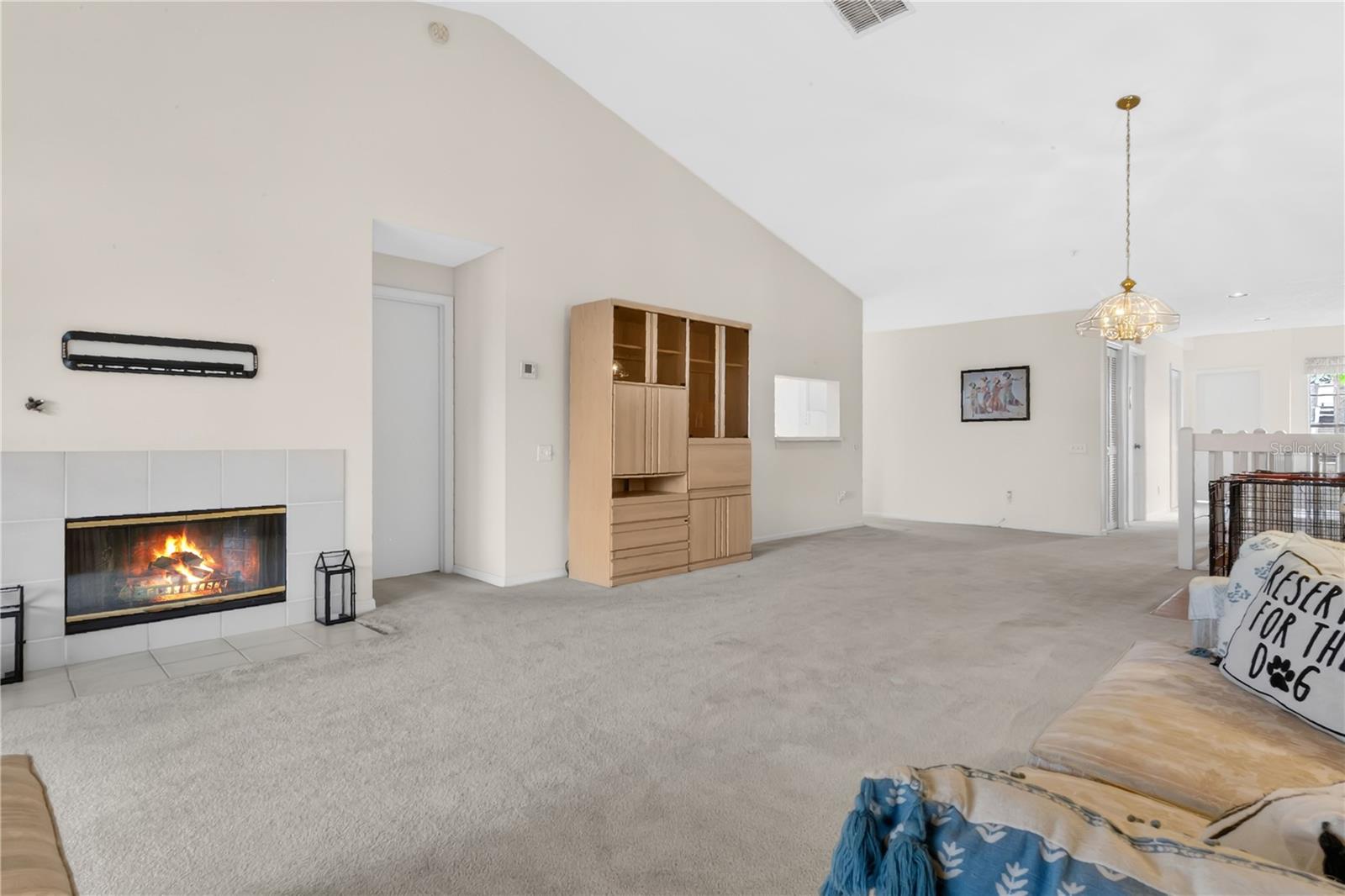 6126 SUNNYVALE DR #2303, ORLANDO, FL, 32822