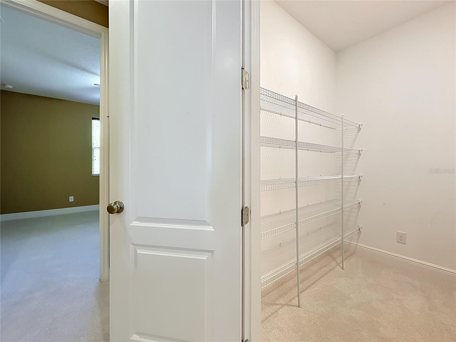 FOREST LAKE ESTATES, APOPKA, FL, 32703