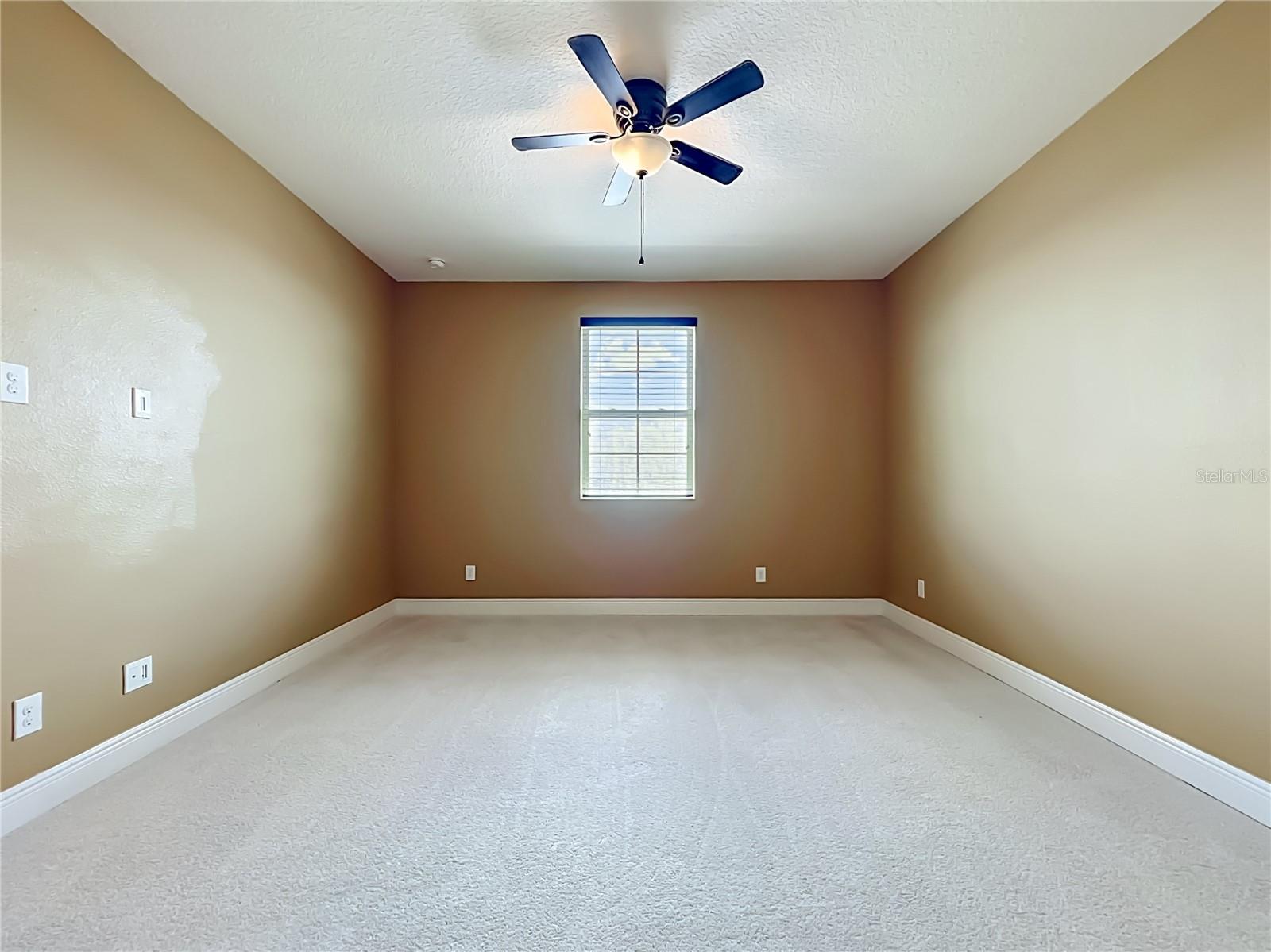 FOREST LAKE ESTATES, APOPKA, FL, 32703