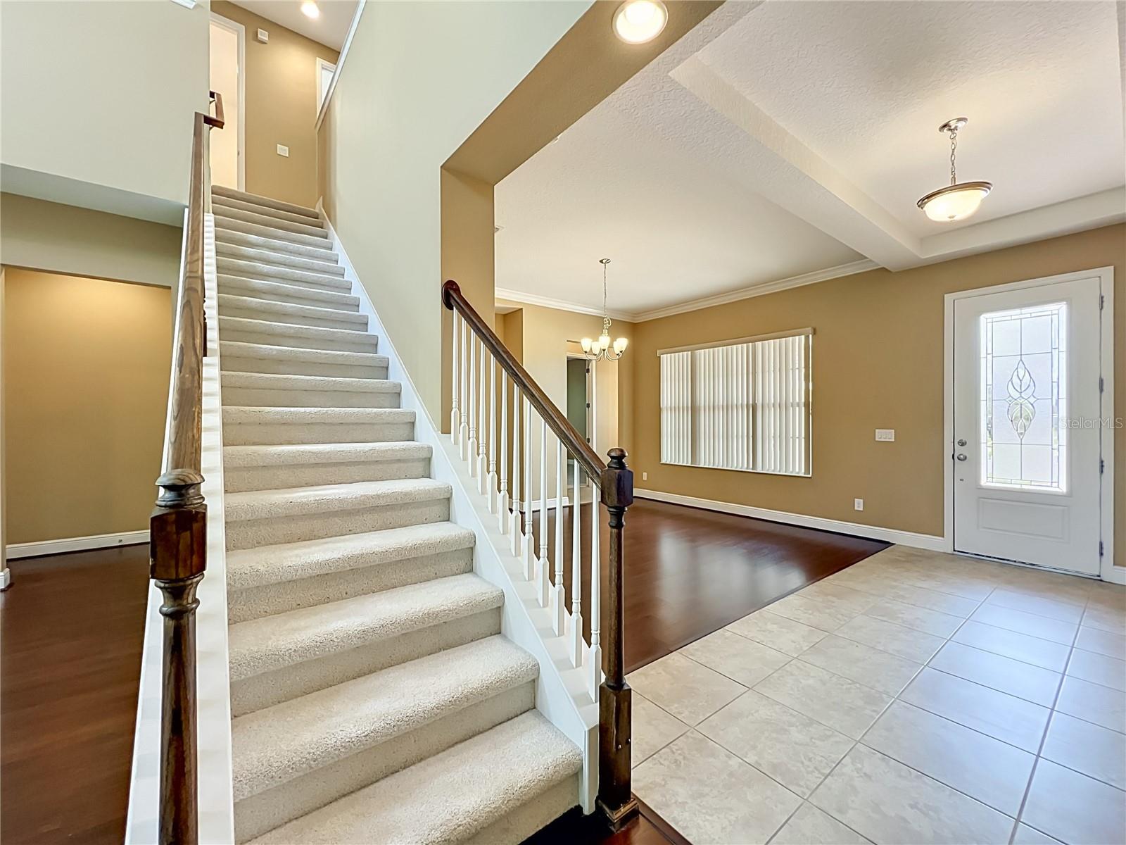 FOREST LAKE ESTATES, APOPKA, FL, 32703