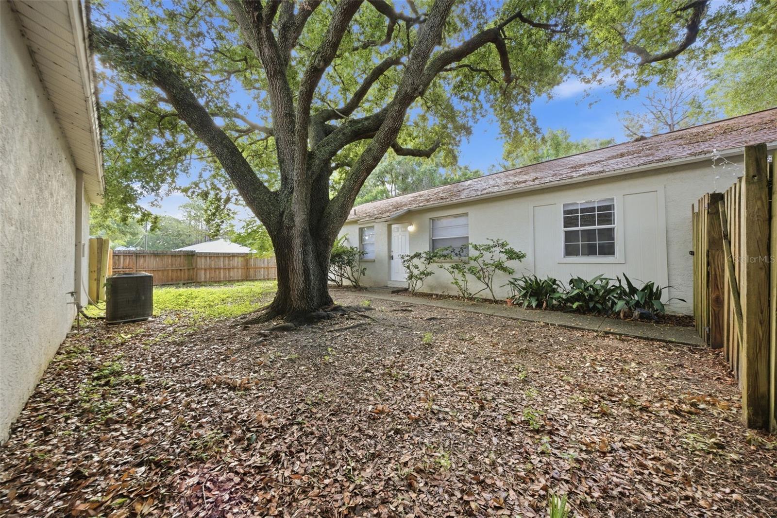 3141 HURON AVE #B, OLDSMAR, FL, 34677