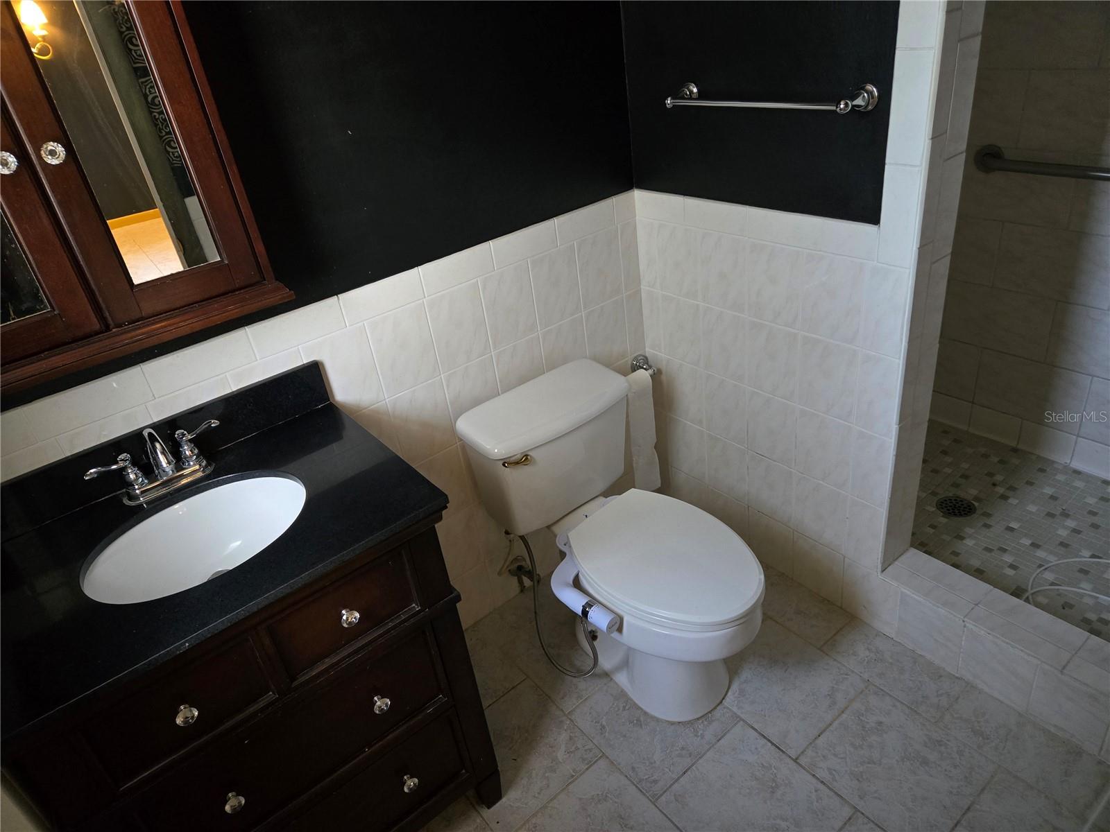 19 SPRING DR PL, OCALA, FL, 34472