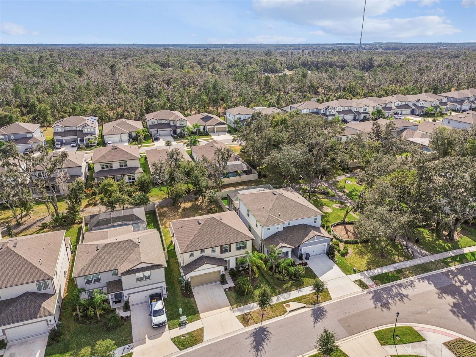 14161 HAMMOCK CREST WAY, RIVERVIEW, FL, 33569