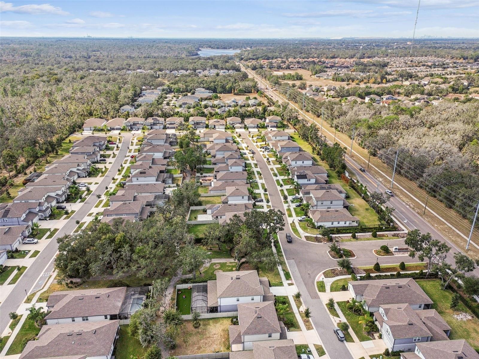 14161 HAMMOCK CREST WAY, RIVERVIEW, FL, 33569