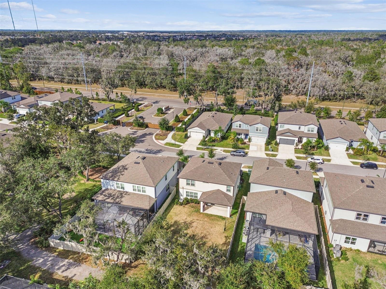 14161 HAMMOCK CREST WAY, RIVERVIEW, FL, 33569
