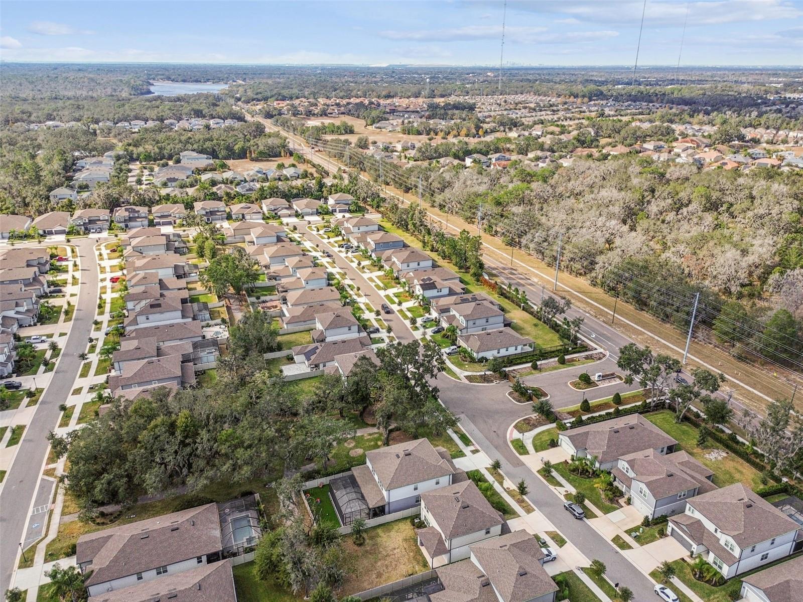 14161 HAMMOCK CREST WAY, RIVERVIEW, FL, 33569
