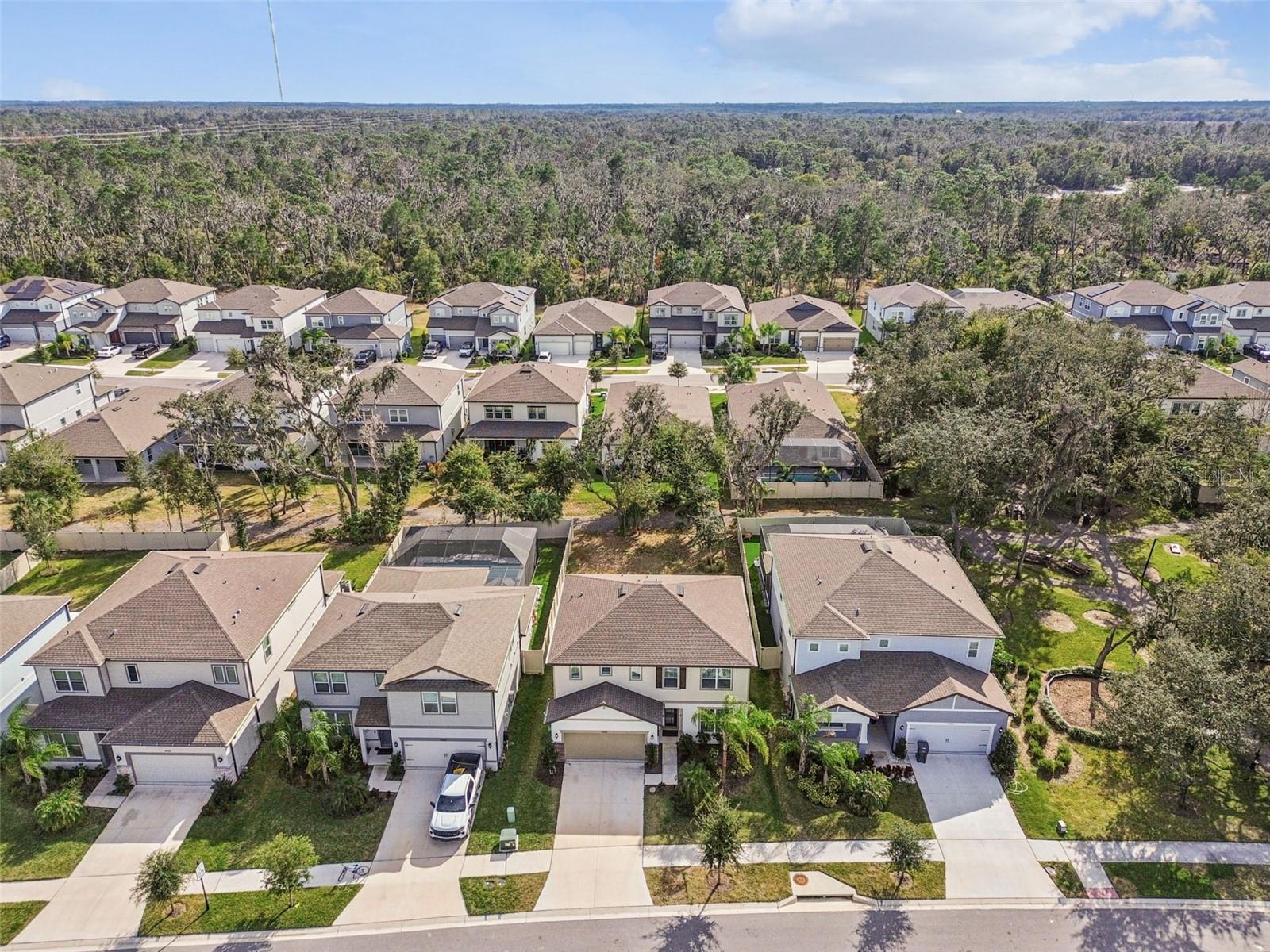 14161 HAMMOCK CREST WAY, RIVERVIEW, FL, 33569