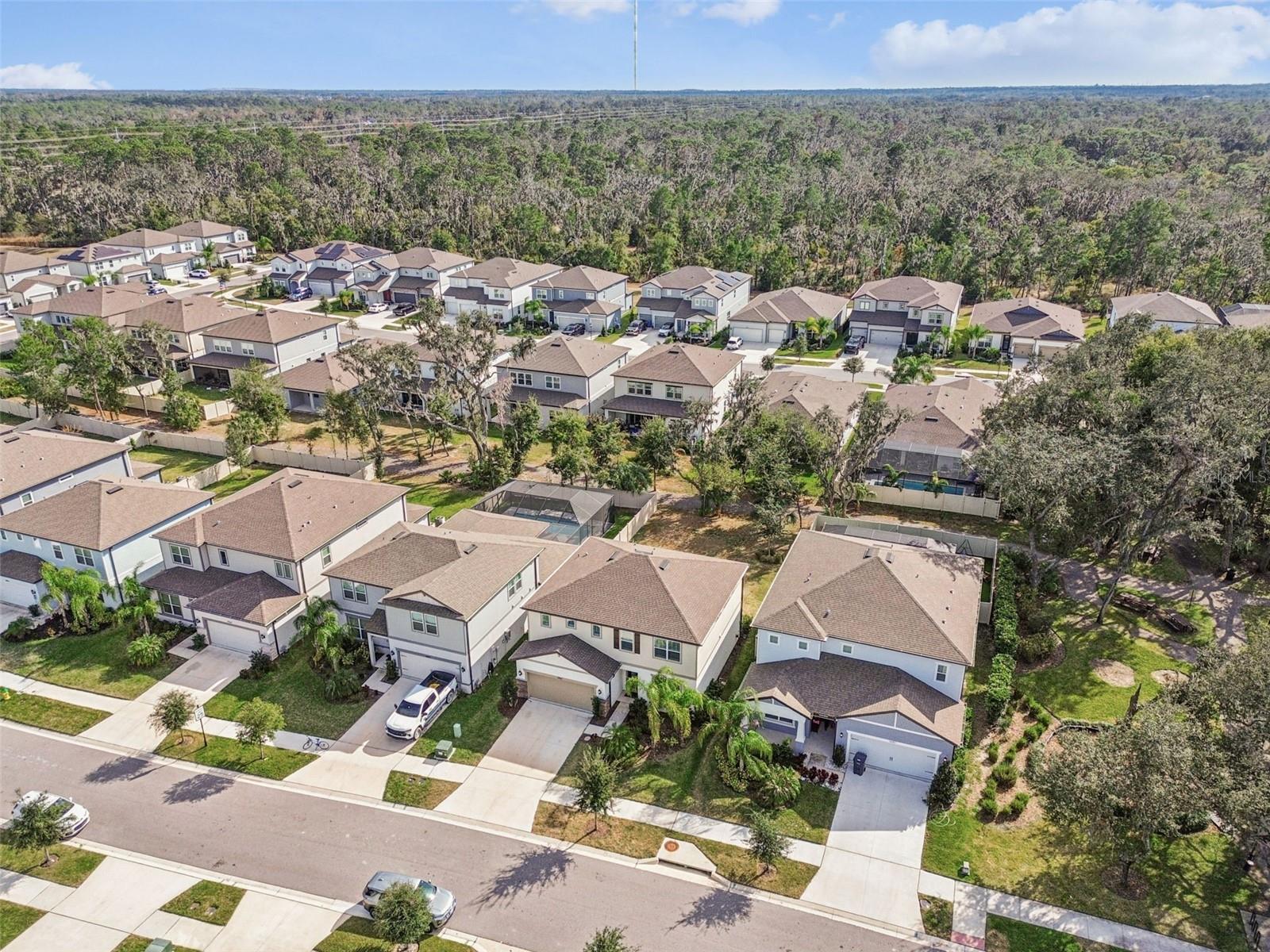 14161 HAMMOCK CREST WAY, RIVERVIEW, FL, 33569