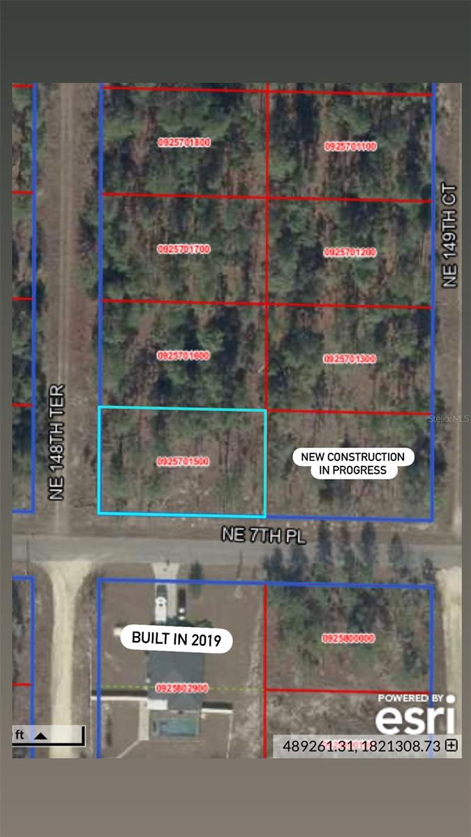 NE 7TH PL, WILLISTON, FL, 32696