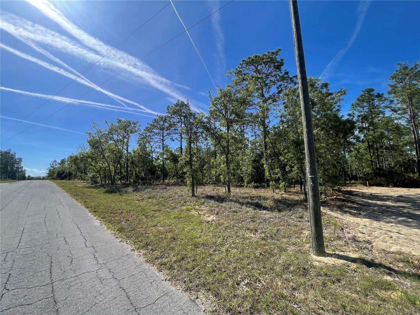 NE 7TH PL, WILLISTON, FL, 32696