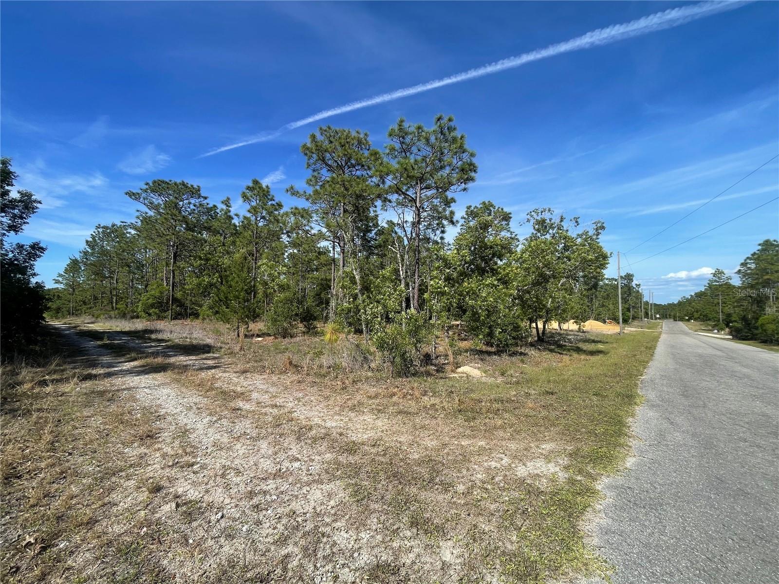 NE 7TH PL, WILLISTON, FL, 32696