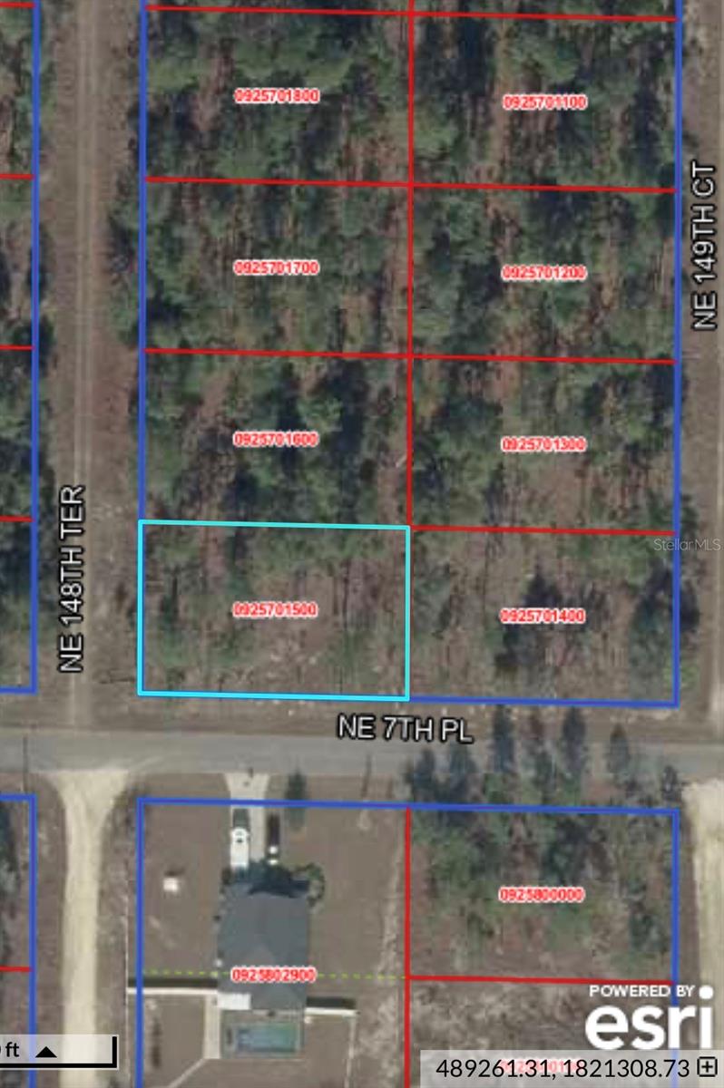 NE 7TH PL, WILLISTON, FL, 32696