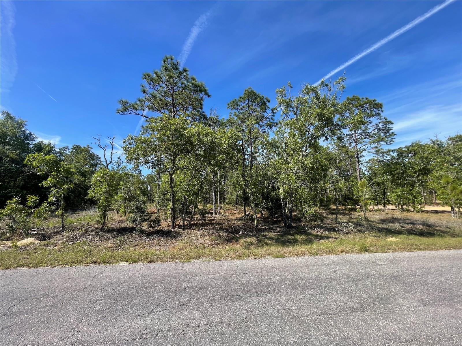 NE 7TH PL, WILLISTON, FL, 32696