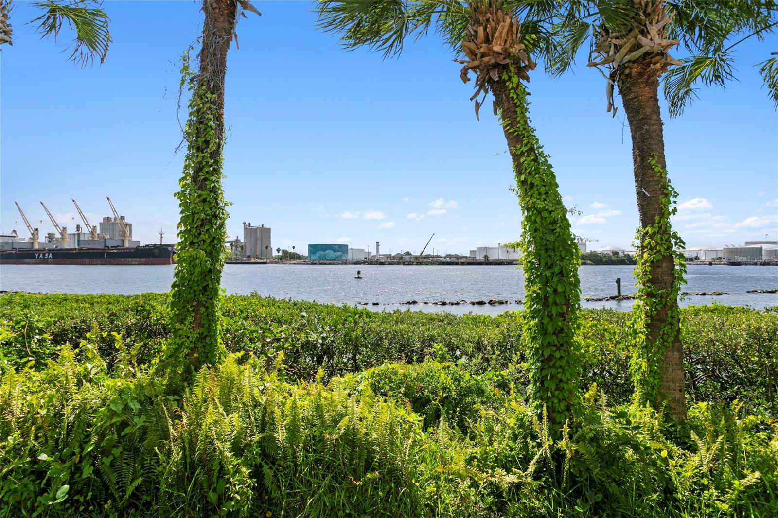 1119 SHIPWATCH CIR, TAMPA, FL, 33602