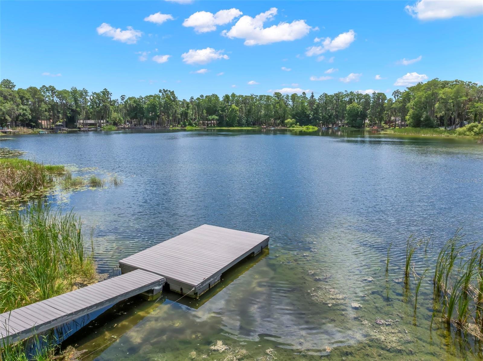 17309 N DALE MABRY HWY, LUTZ, FL, 33548