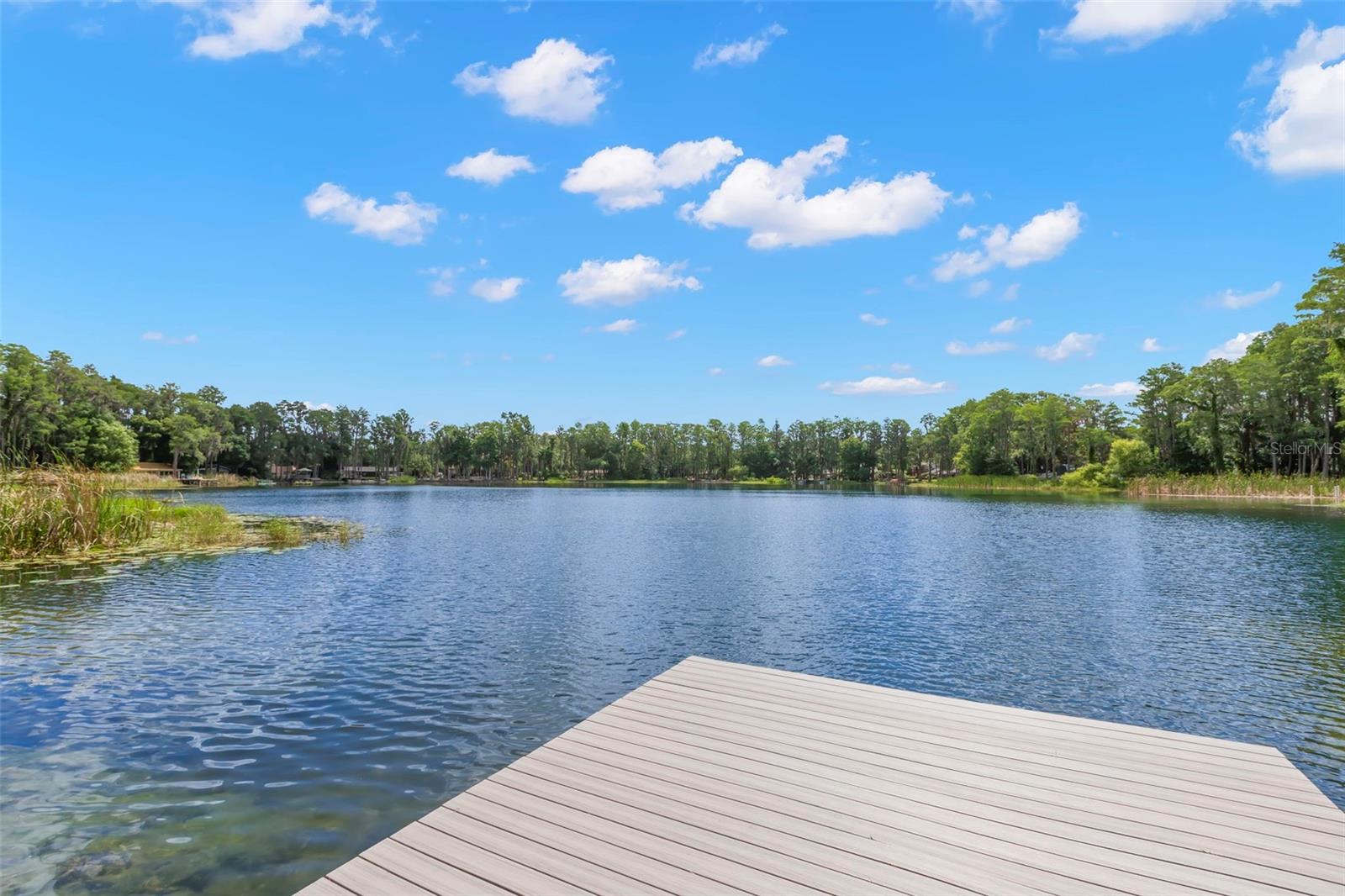 17309 N DALE MABRY HWY, LUTZ, FL, 33548