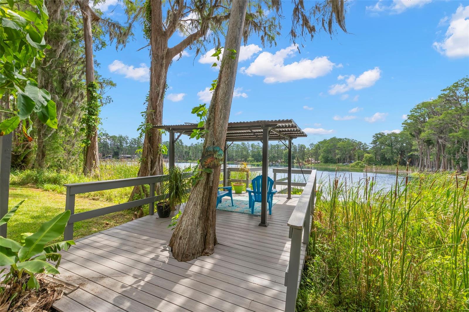 17309 N DALE MABRY HWY, LUTZ, FL, 33548
