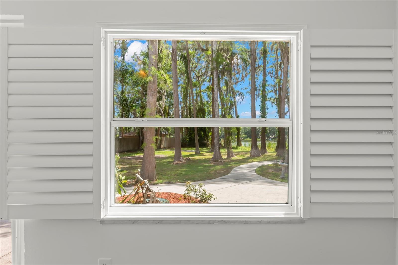 17309 N DALE MABRY HWY, LUTZ, FL, 33548