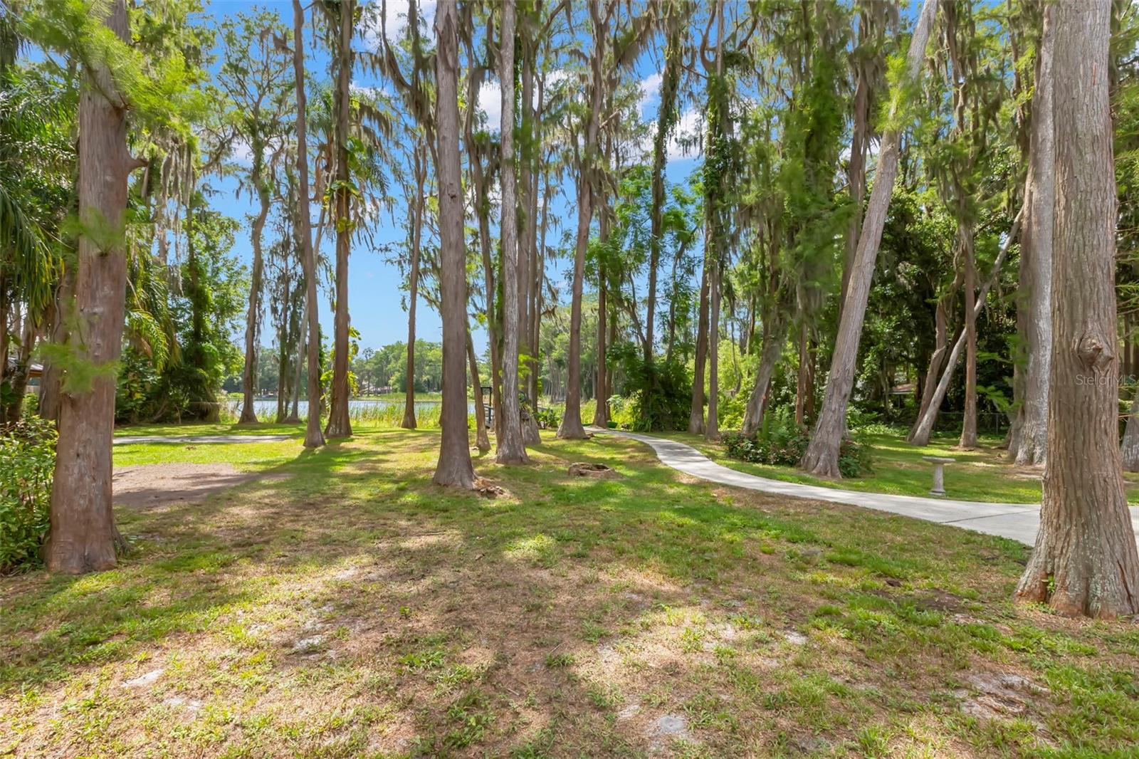 17309 N DALE MABRY HWY, LUTZ, FL, 33548