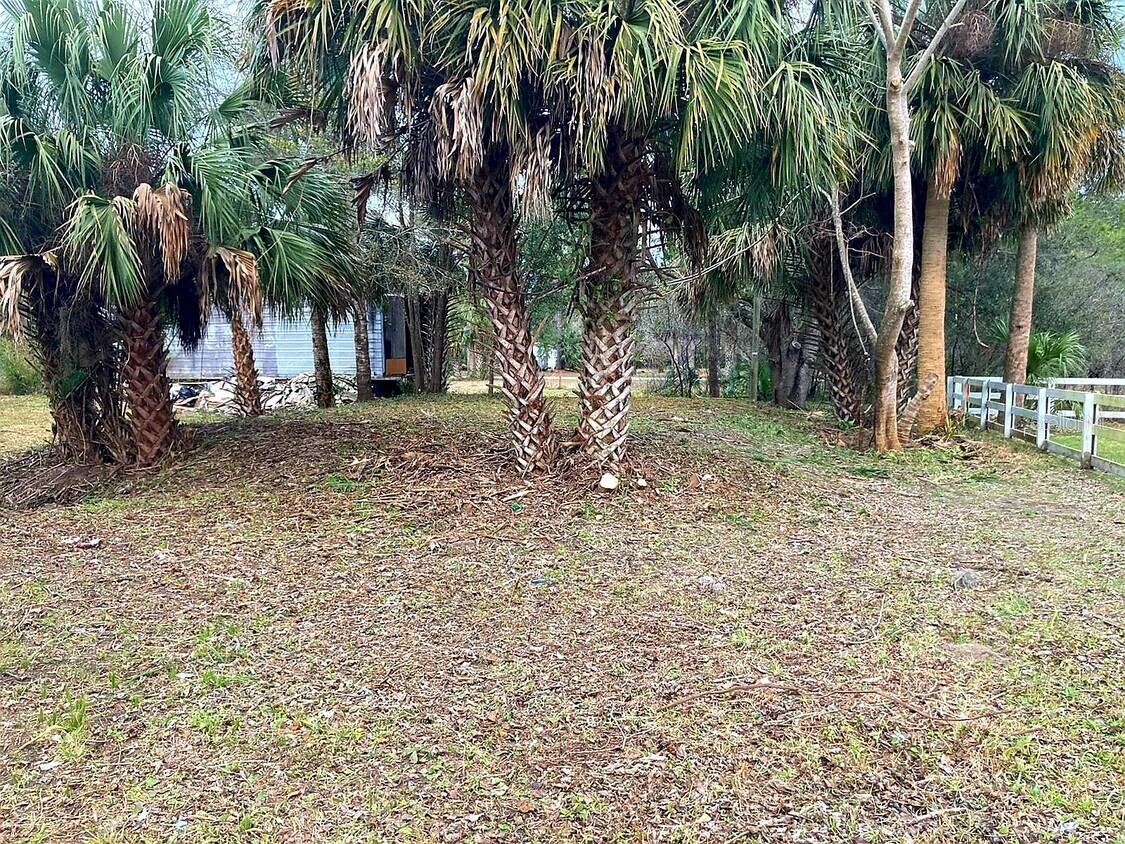 16500 S US HIGHWAY 19, SALEM, FL, 32356