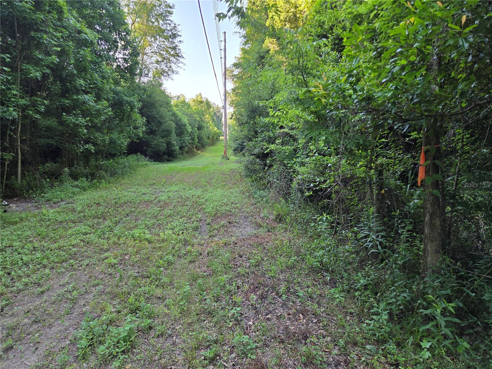 15929 NW 135TH TER, ALACHUA, FL, 32615