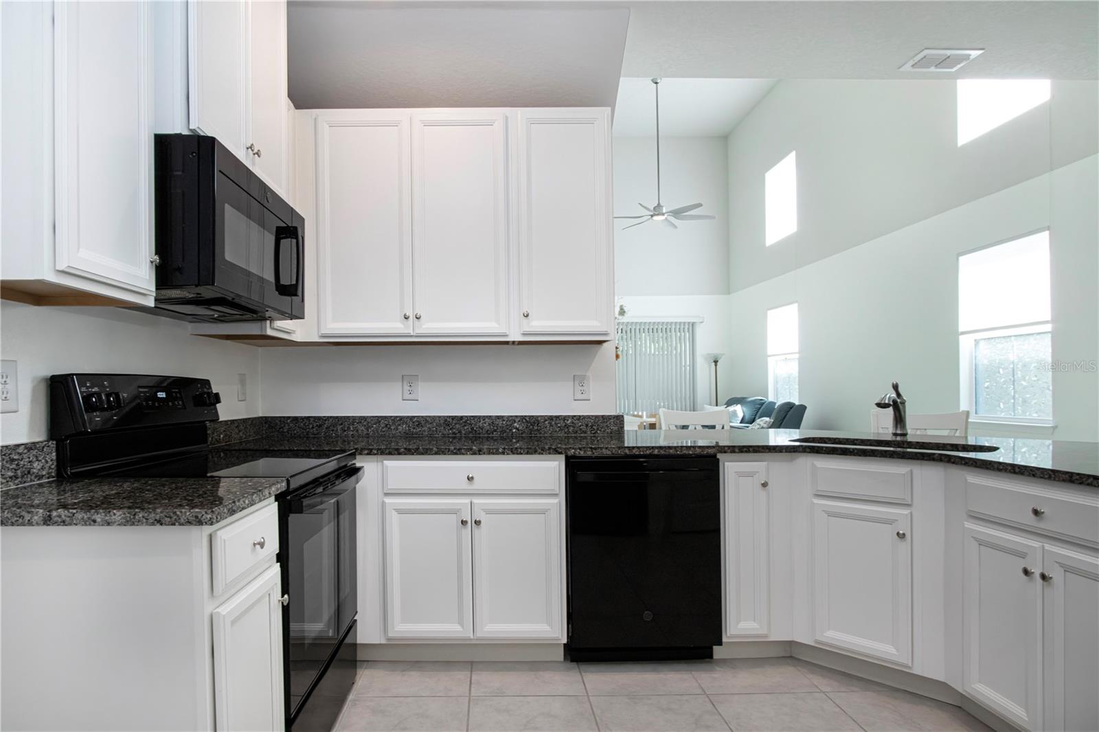 2120 LACEFLOWER DR, BRANDON, FL, 33510