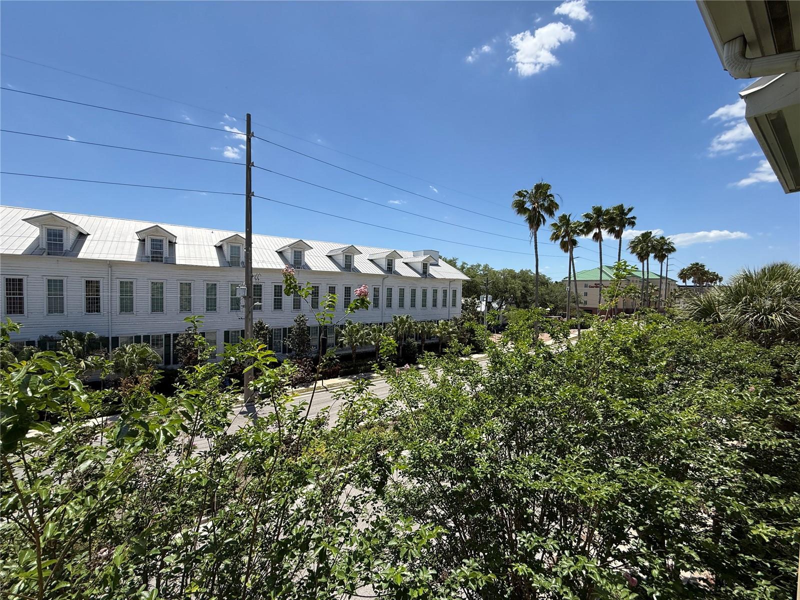 1810 E PALM AVE #1301, TAMPA, FL, 33605