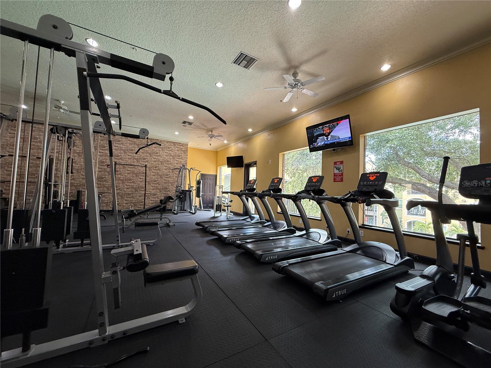 1810 E PALM AVE #1301, TAMPA, FL, 33605