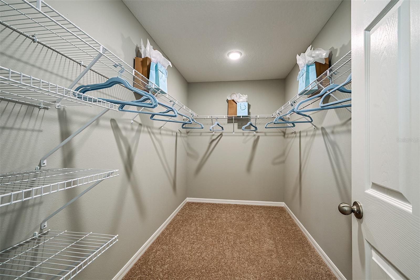 31731 OYSTER TRELLIS LN, WESLEY CHAPEL, FL, 33545