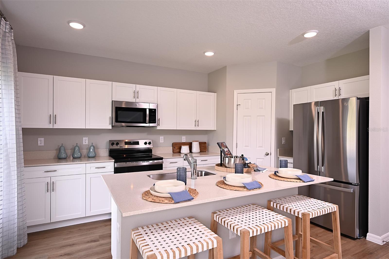 31731 OYSTER TRELLIS LN, WESLEY CHAPEL, FL, 33545
